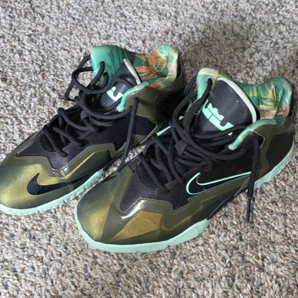 Lebron Sneakers
